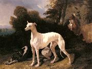 A Greyhound In An Extensive Landscape